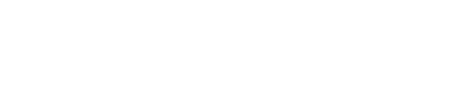 Lufthansa